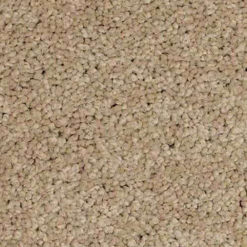 In-stock nylon carpet from Karrianna Flooring in Lexington, KY